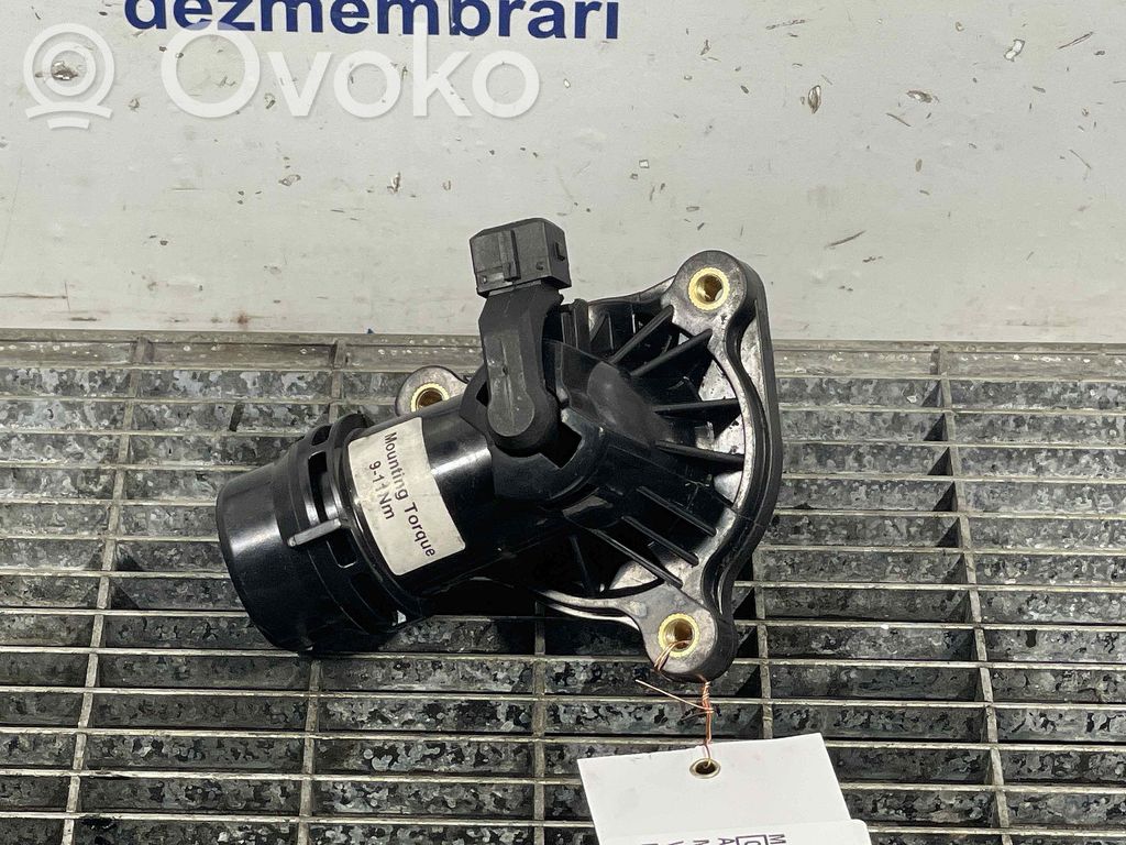 Termostatas   7510959
