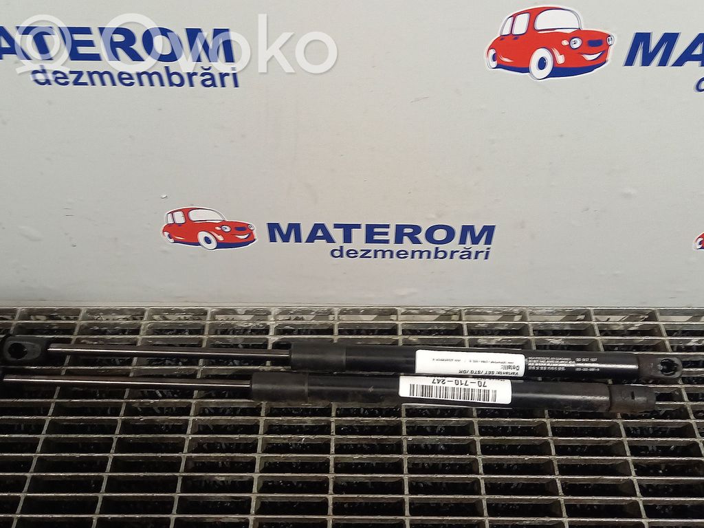 Opel Antara Amortizor capotă motor 