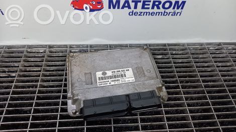 Seat Ibiza III (6L) Engine control unit/module 
