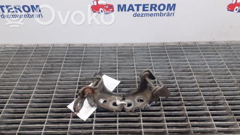 Renault Megane III Front door hinge set 