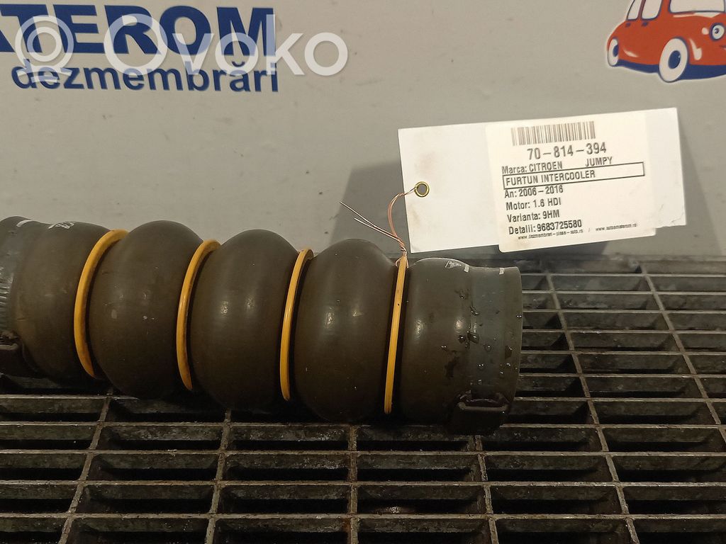 Citroen Jumpy Tubo flessibile intercooler 