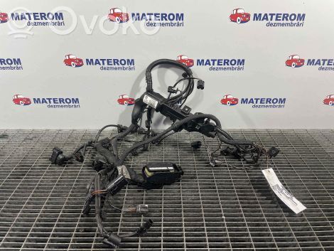 Mini Cooper Countryman R60 Other wiring loom 