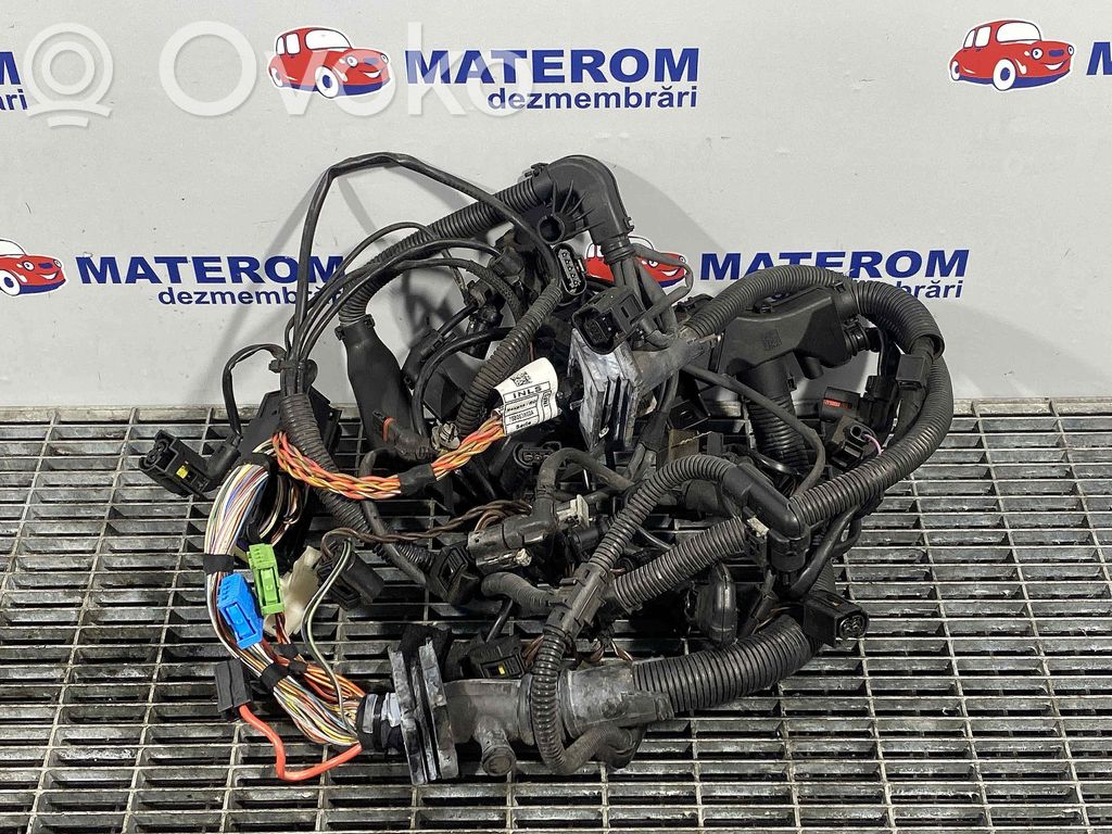 Engine installation wiring loom   758063802A