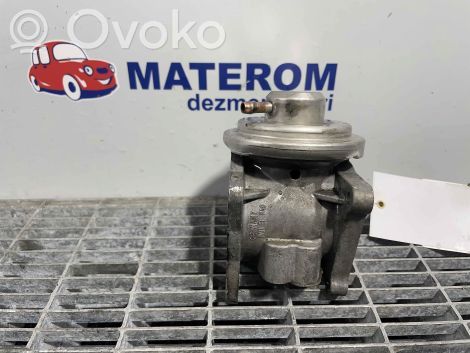 Zawór EGR   038131501AF