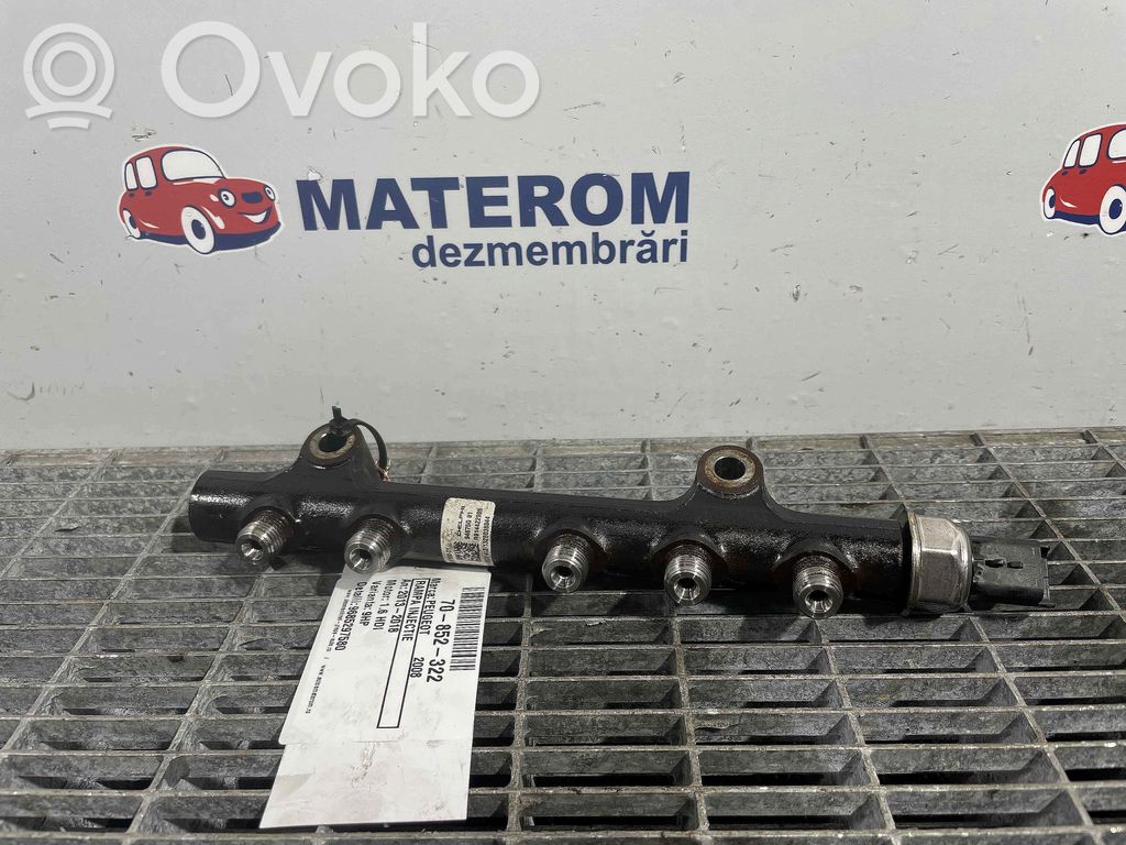 Peugeot 2008 I Rampă alimentare injectoare 