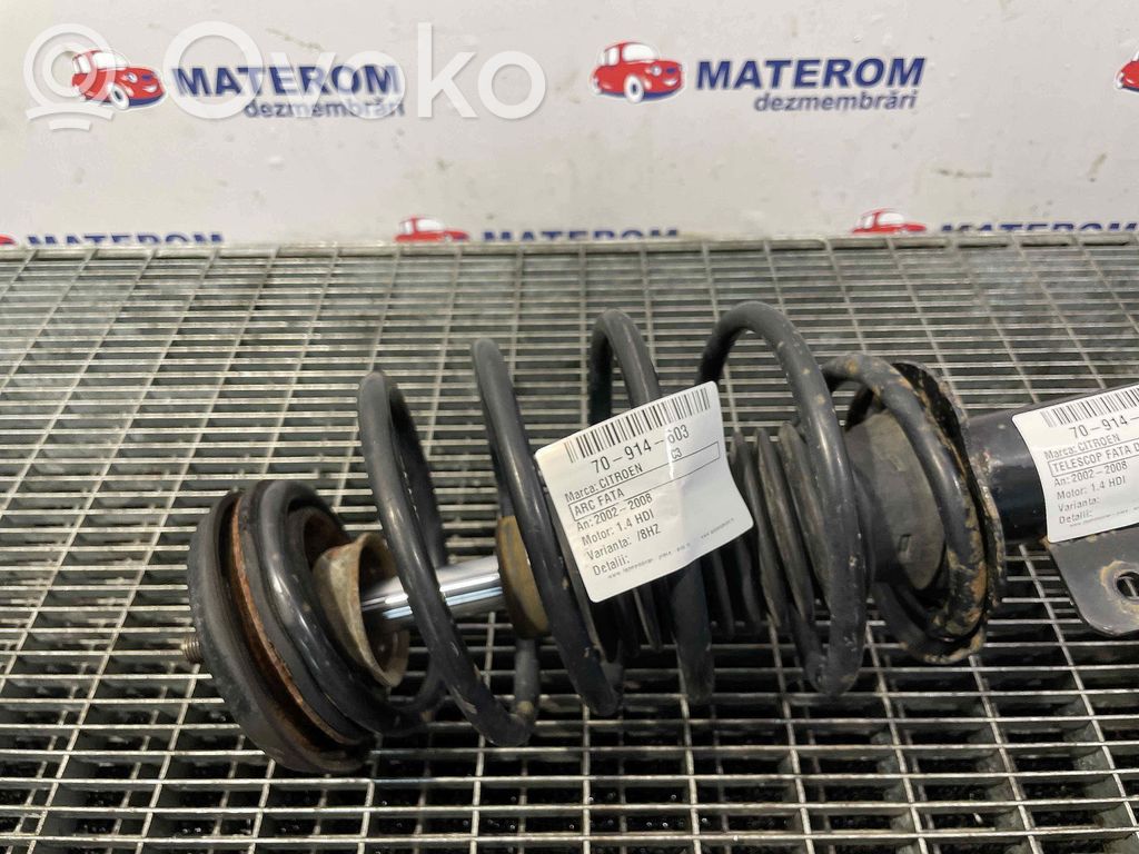 Front coil spring   5002LN