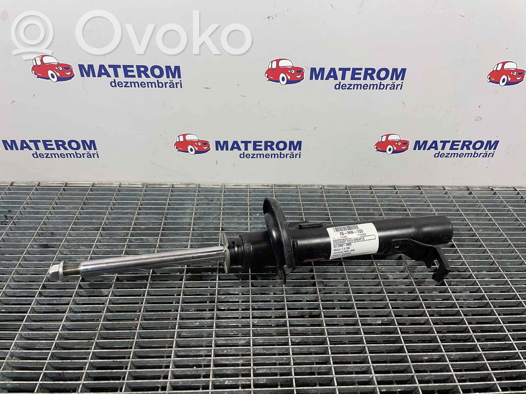 Amortyzator przedni   1206035