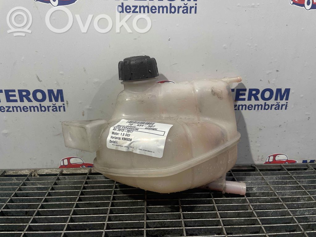Nissan Qashqai Vas expansiune/rezervor lichid de răcire 