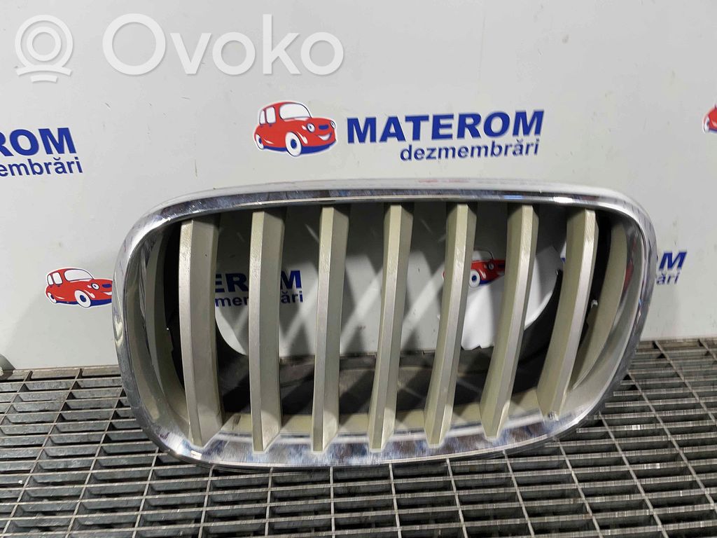 BMW X5 E70 Front bumper upper radiator grill 