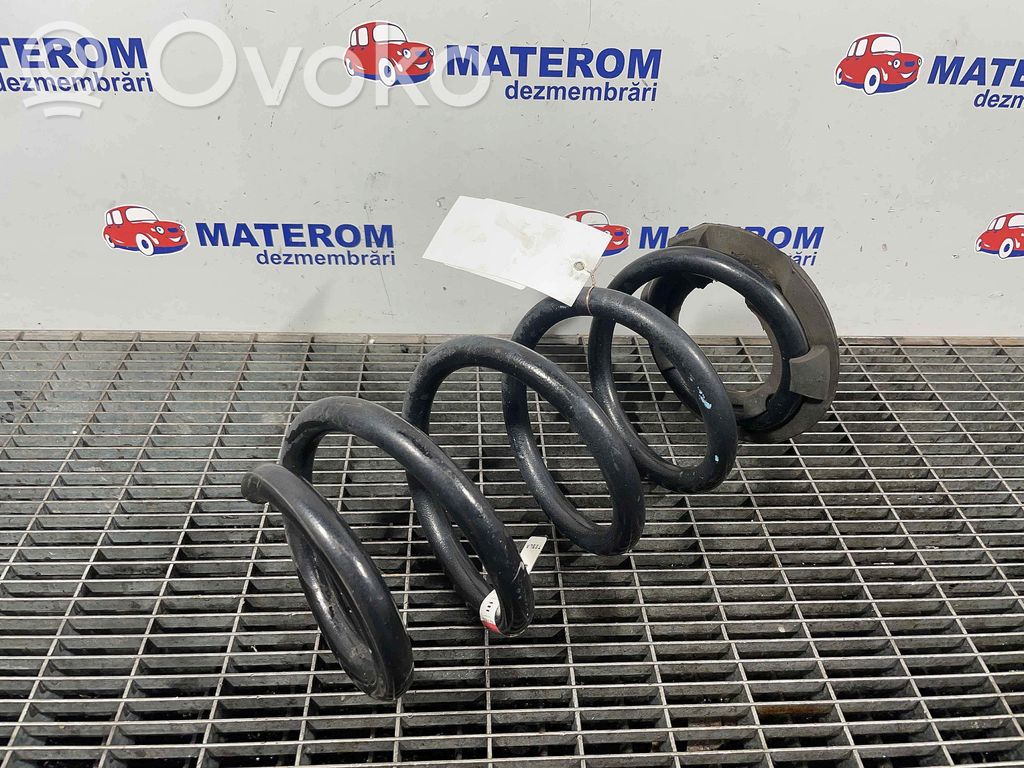 Rear coil spring   104447201E