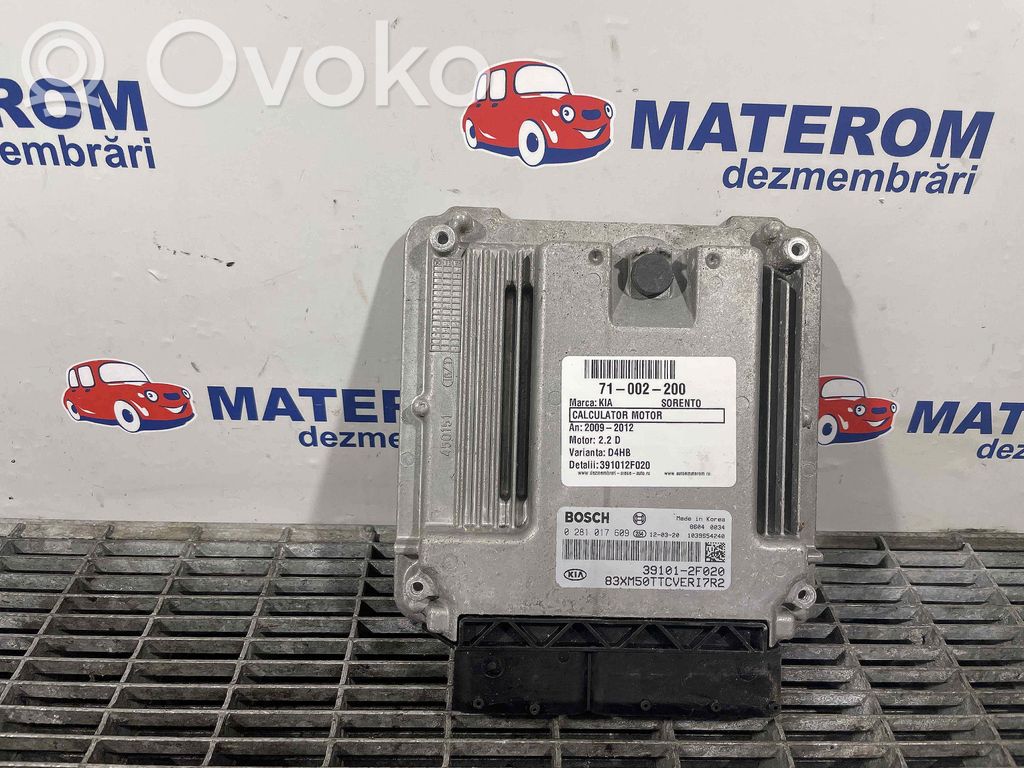 Engine control unit/module   391012F020