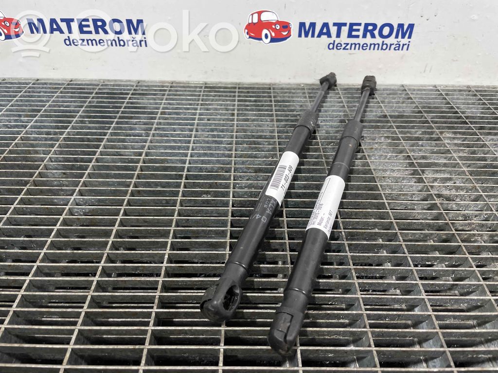 BMW X5 F15 Amortizor capotă motor 