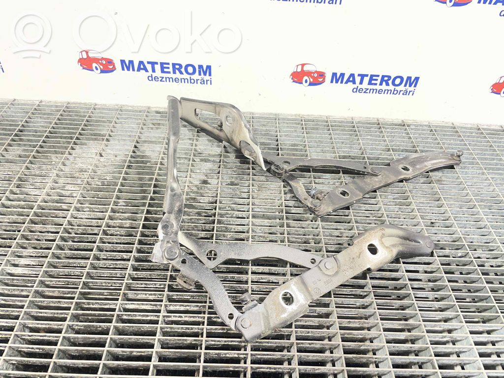 BMW 2 F22 F23 Cerniera portellone posteriore/bagagliaio 