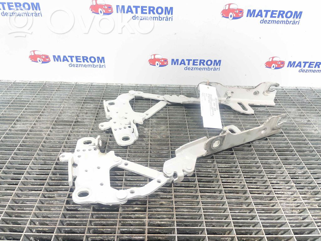 BMW 3 F30 F35 F31 Cerniere del vano motore/cofano