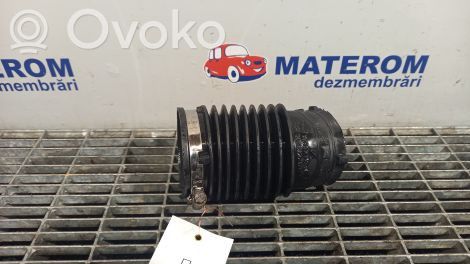 Ford Fiesta Šļūtene (-es) / caurule (-es)