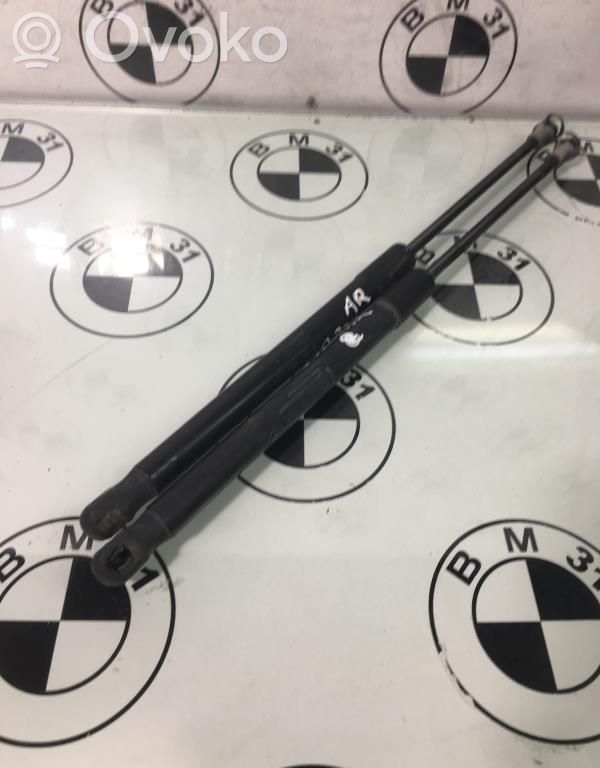 Tailgate/trunk strut/damper   51247060622