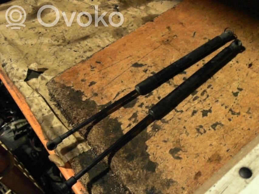 Tailgate/trunk strut/damper   7060622