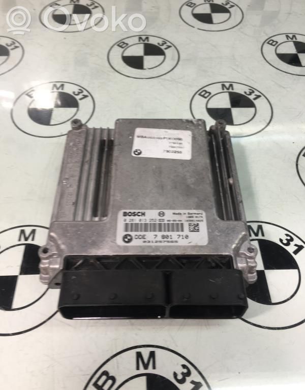 Engine control unit/module   13617808124