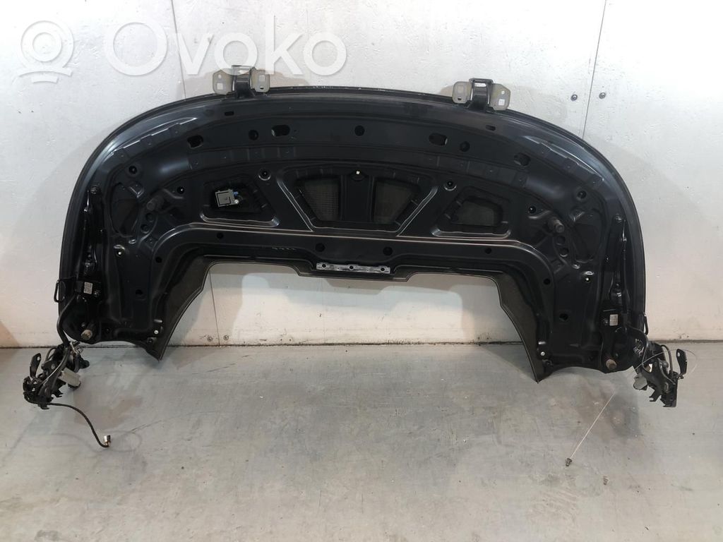 BMW 1 E82 E88 Stogo dangos/ skydai 