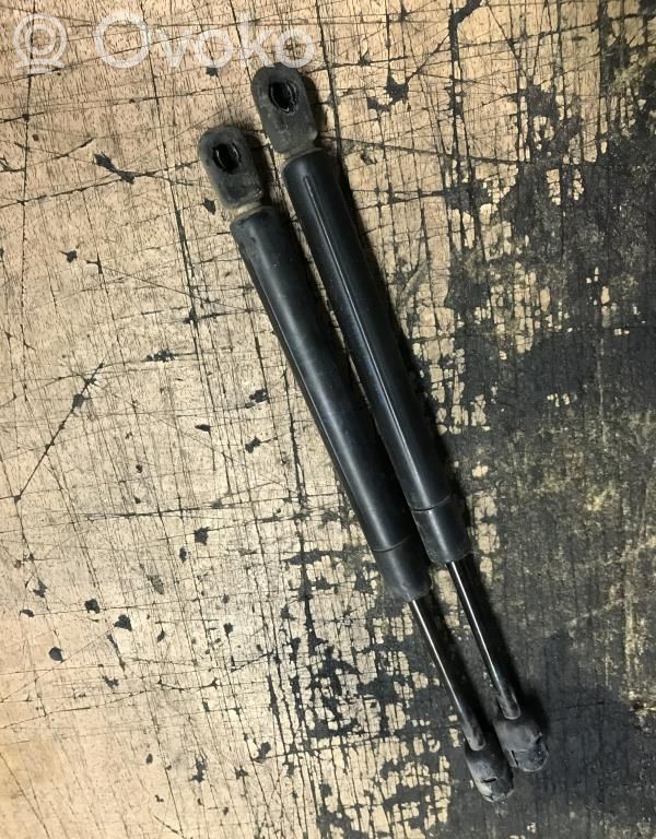 Tailgate/trunk strut/damper