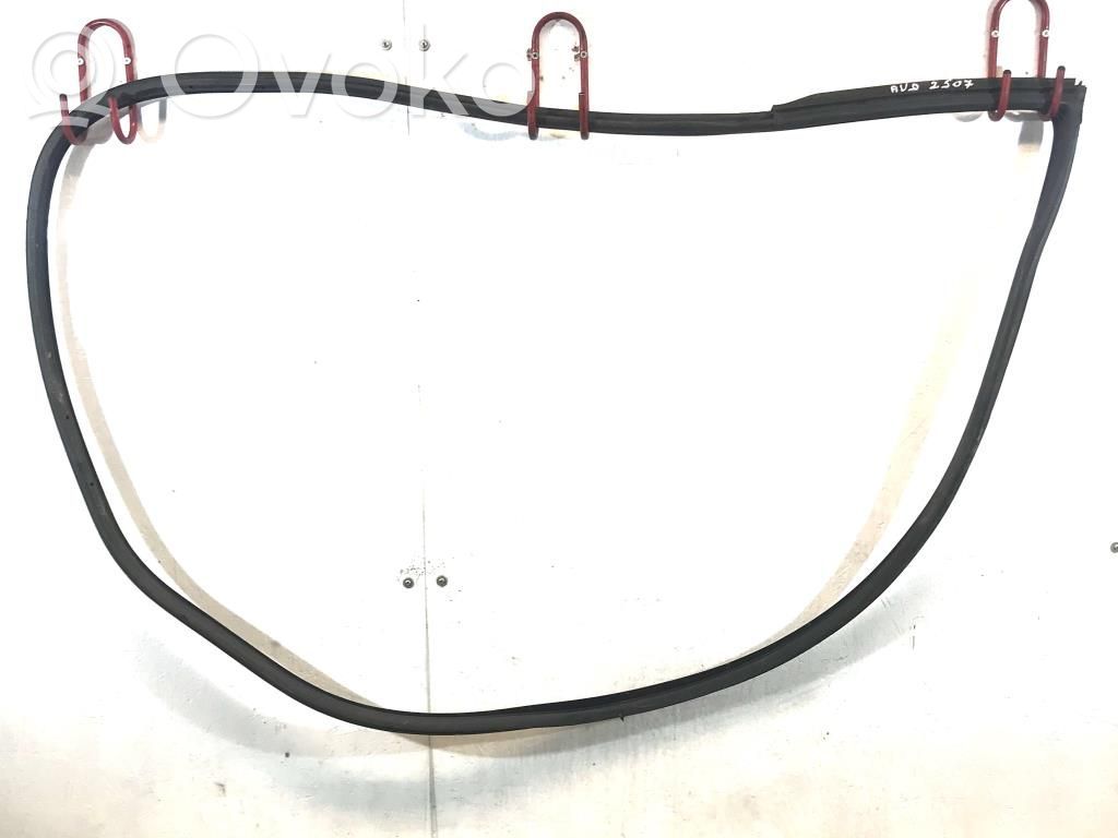 BMW 3 E92 E93 Front door rubber seal 