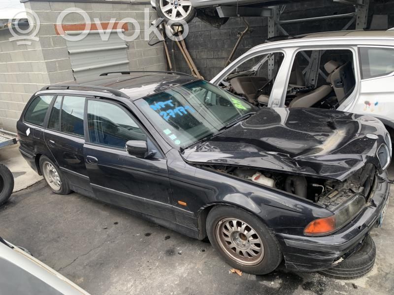 BMW 5 E39 Galinės durys 