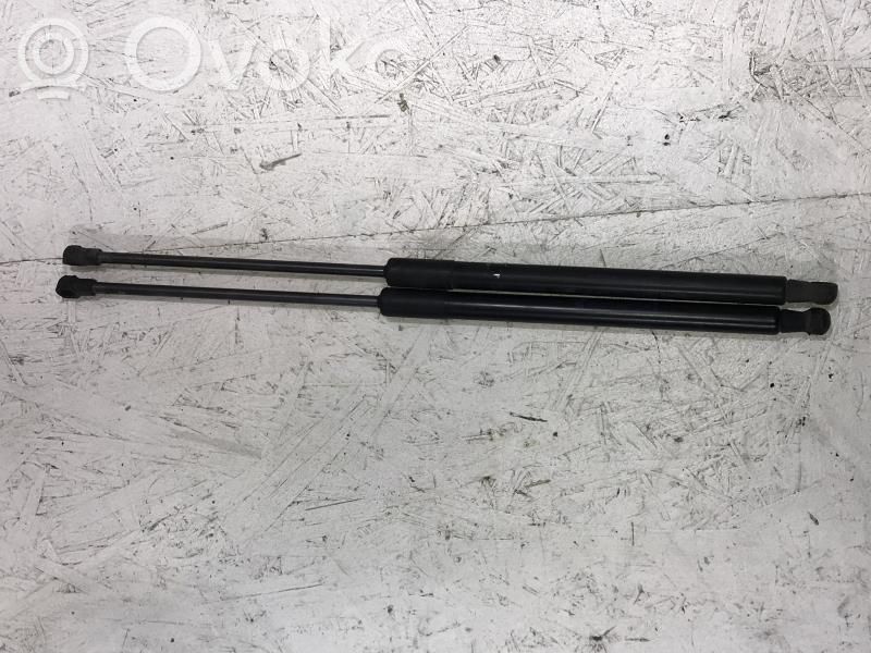 Tailgate/trunk strut/damper