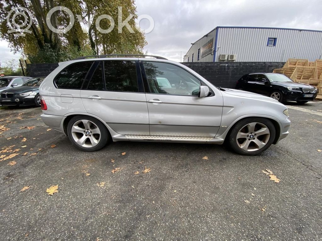 BMW X5 E53 Stoßdämpfer hinten 