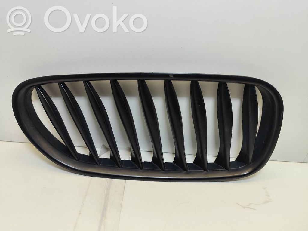 Front grill   51117117757
