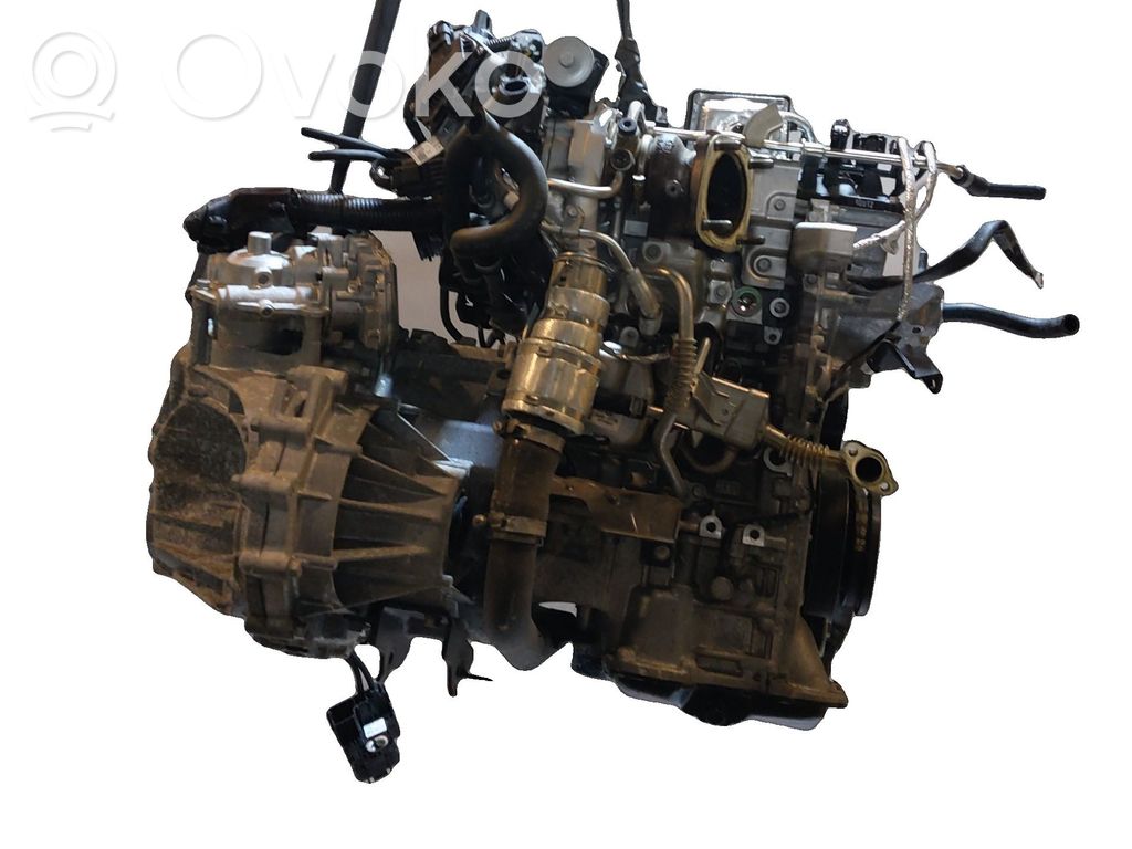 KIA Rio Motor 