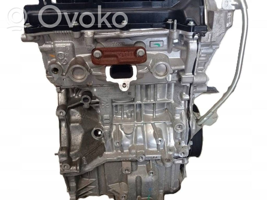 Двигатель   H4DB450,100011358R,06042019