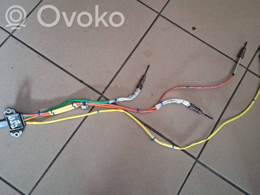 Renault Espace V (RFC) Abgastemperatursensor 