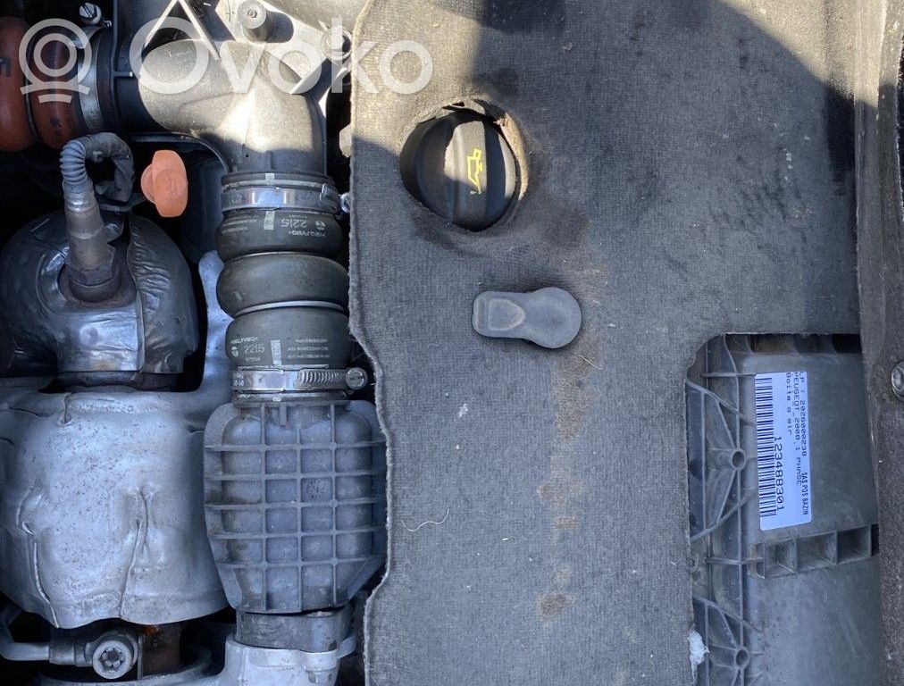 Peugeot 2008 I Engine 