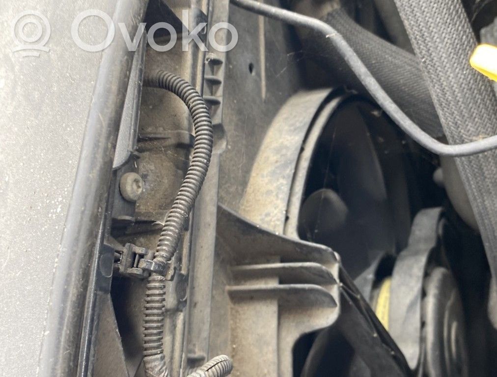 Ford S-MAX Панель радиаторов 
