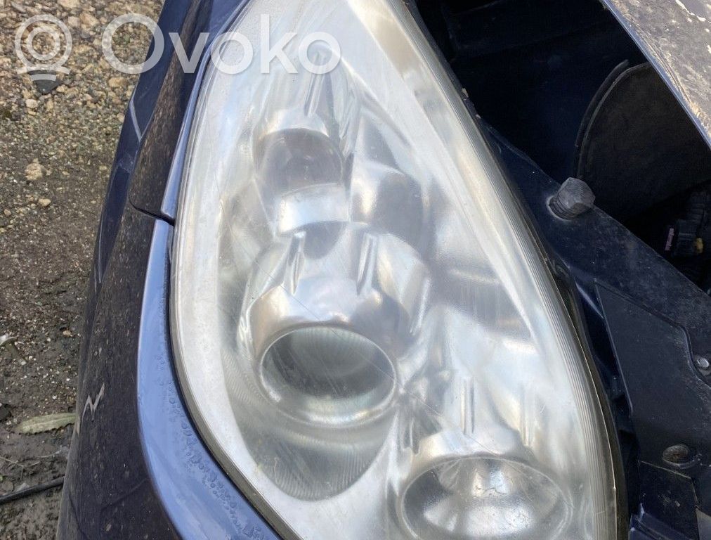 Opel Signum Scheinwerfer 