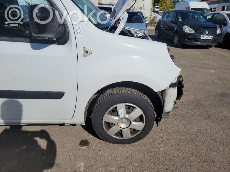 Aripă   631009162R