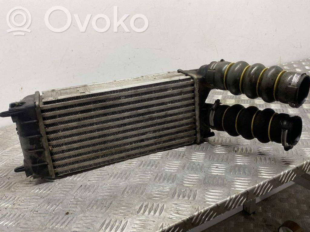 Radiador intercooler   0384N9