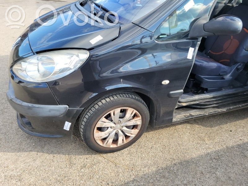Peugeot 1007 Aile 