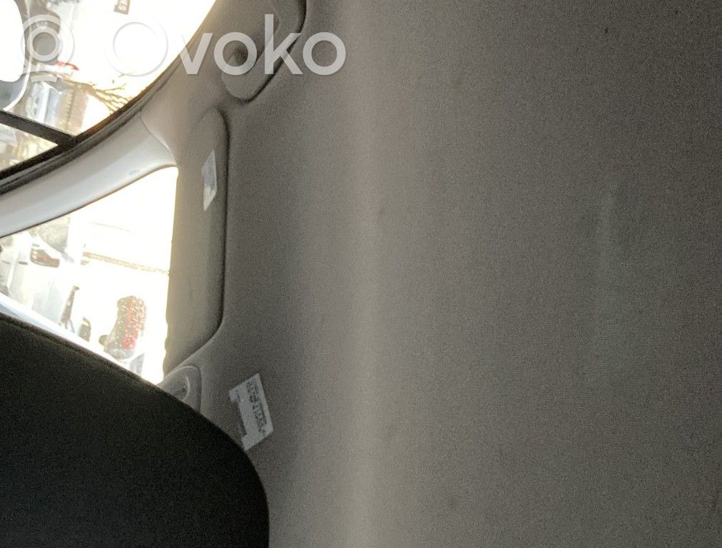 Citroen C4 II Techo 