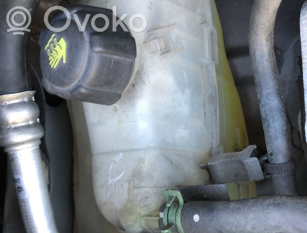 Renault Scenic III -  Grand scenic III Korek zbiornika wyrównawczego chłodziwa 