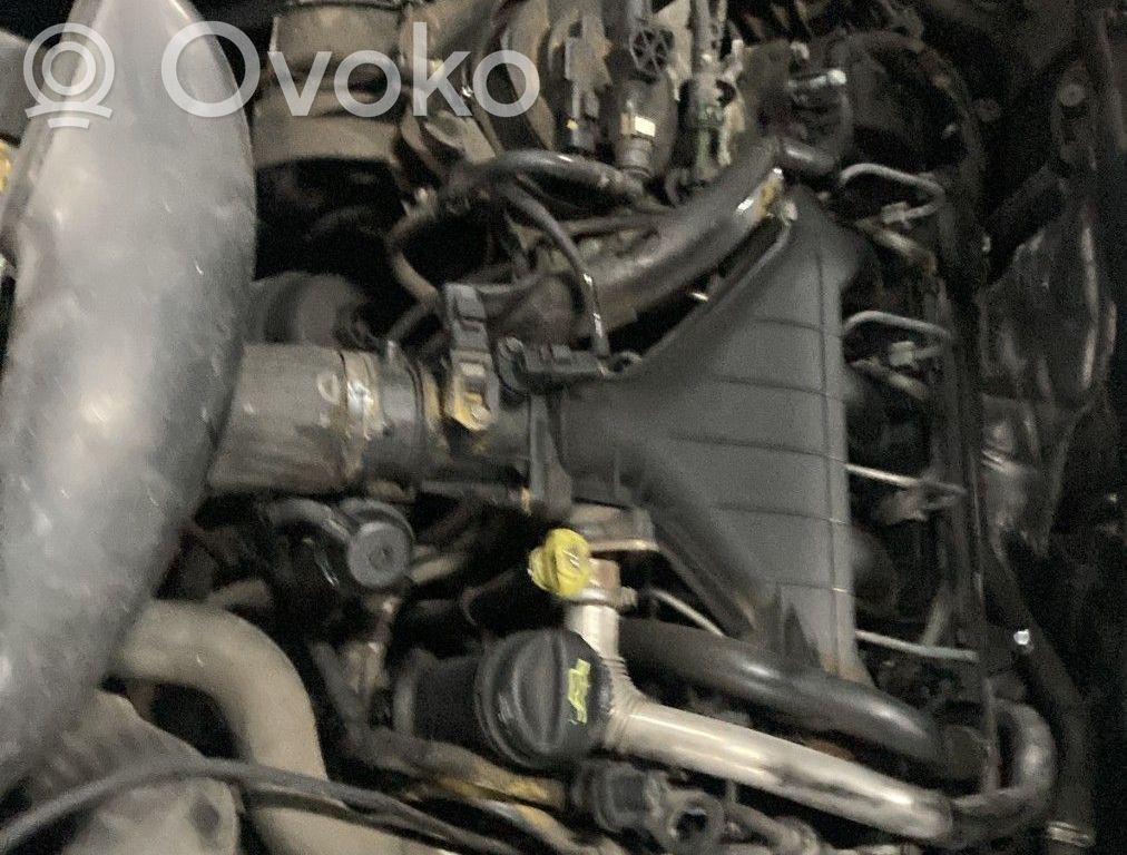 Peugeot 407 Motor 
