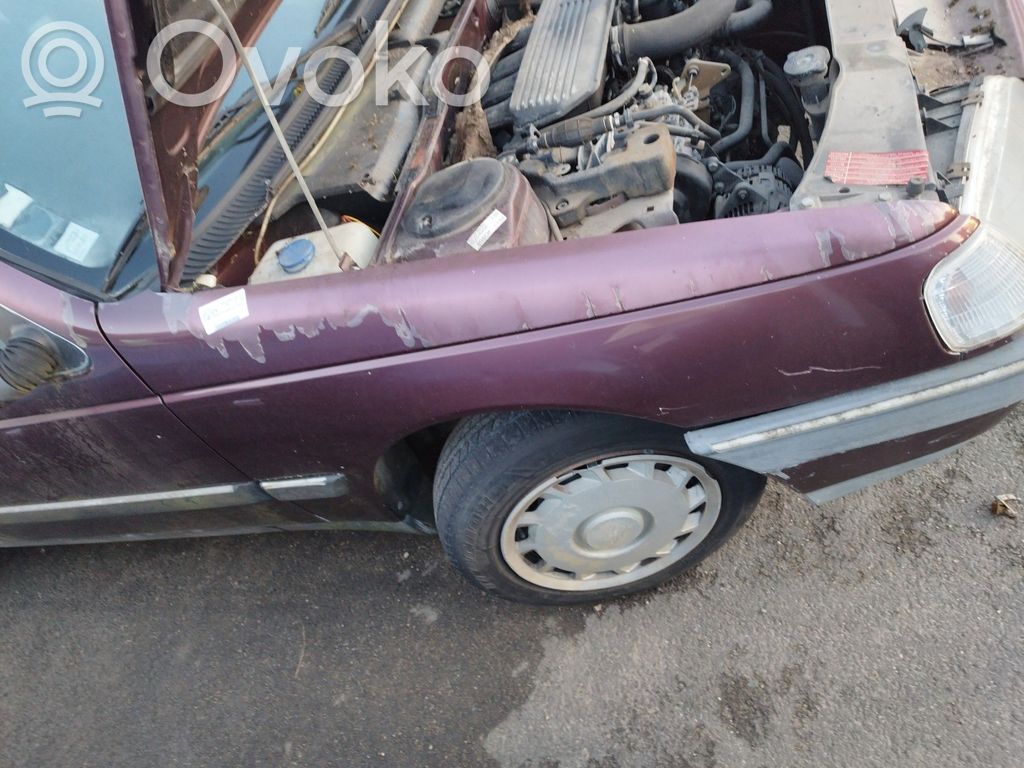 Peugeot 405 Aripă 