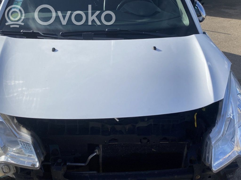 Capotă motor   00007901R1