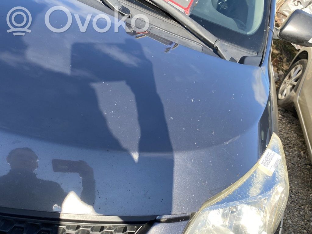 Toyota Urban Cruiser XP110 Vano motore/cofano
