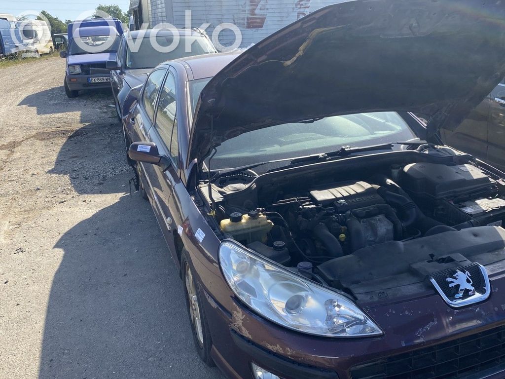 Peugeot 407 Pompa servosterzo 
