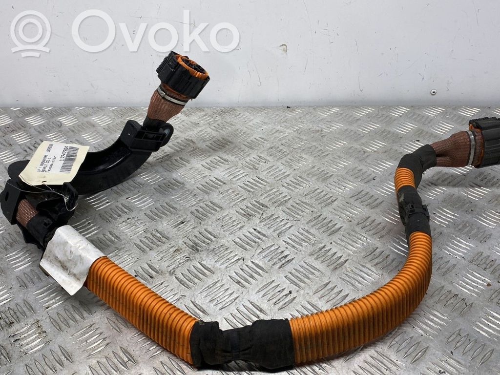 Renault Zoe Cablaj motor 