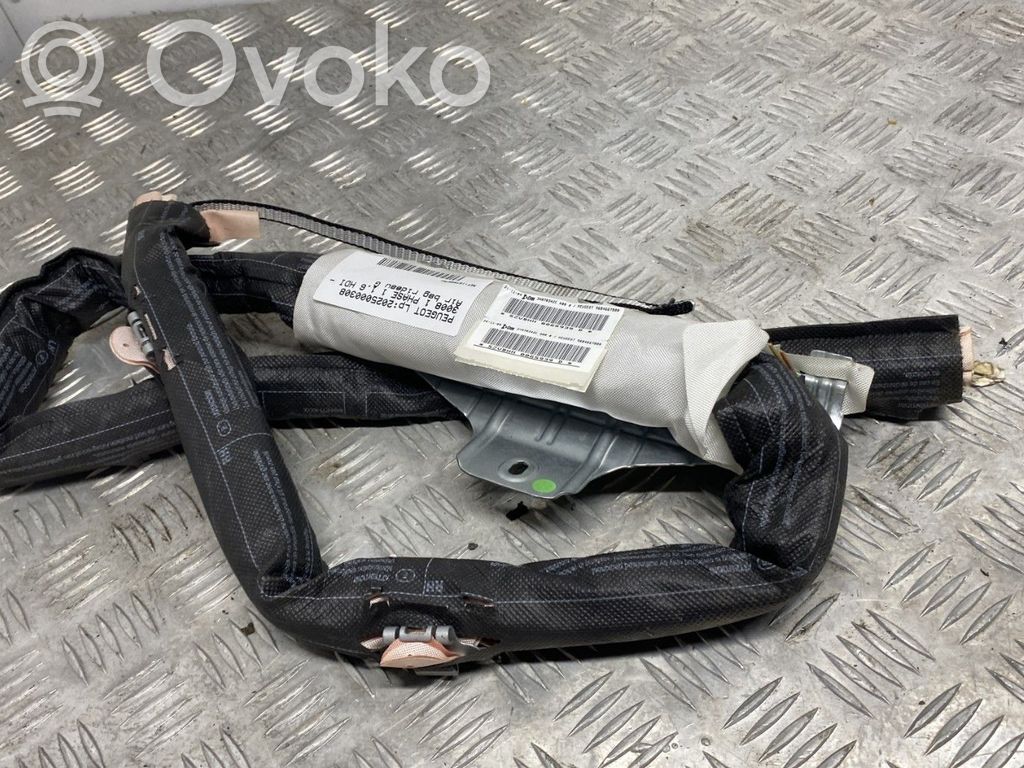 Peugeot 3008 I Airbag da tetto 