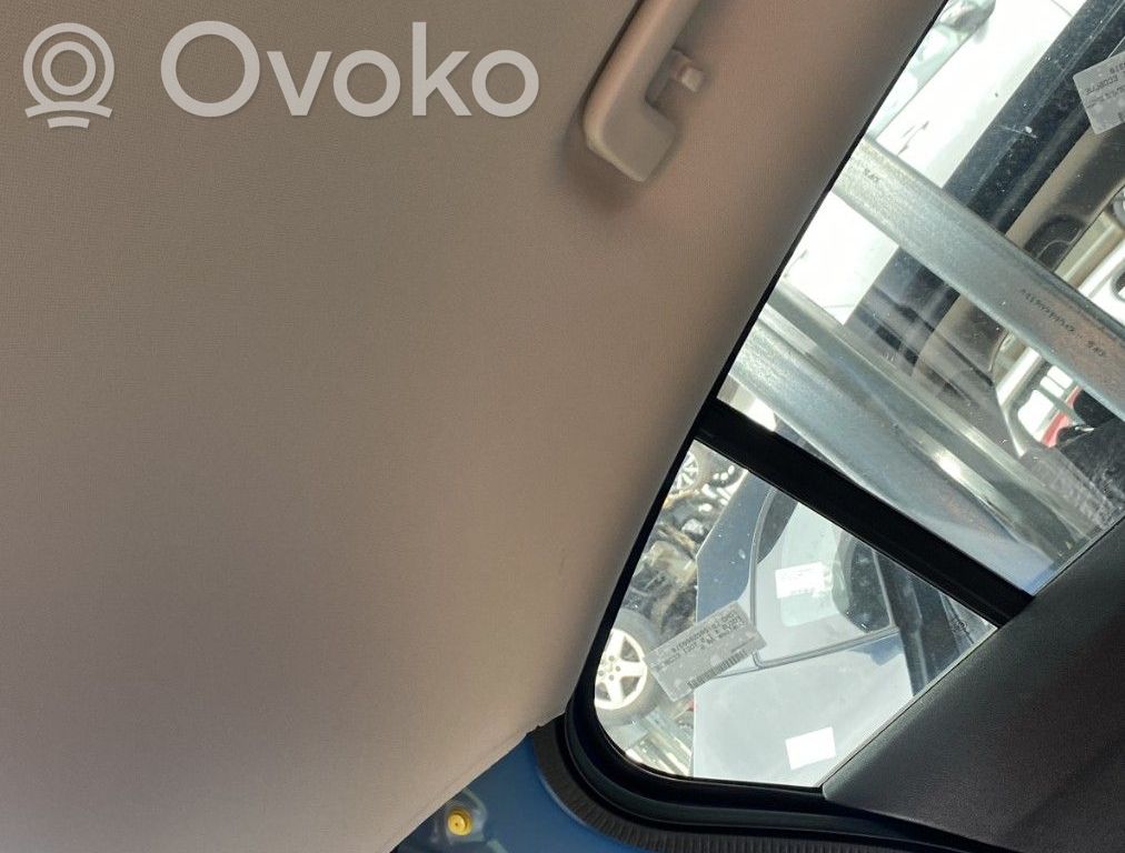 Ford Focus Roof airbag 