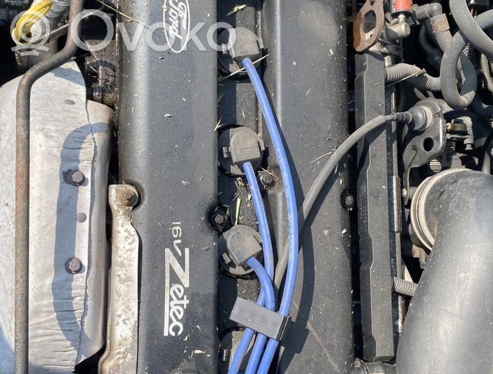 Ford Focus Engine 