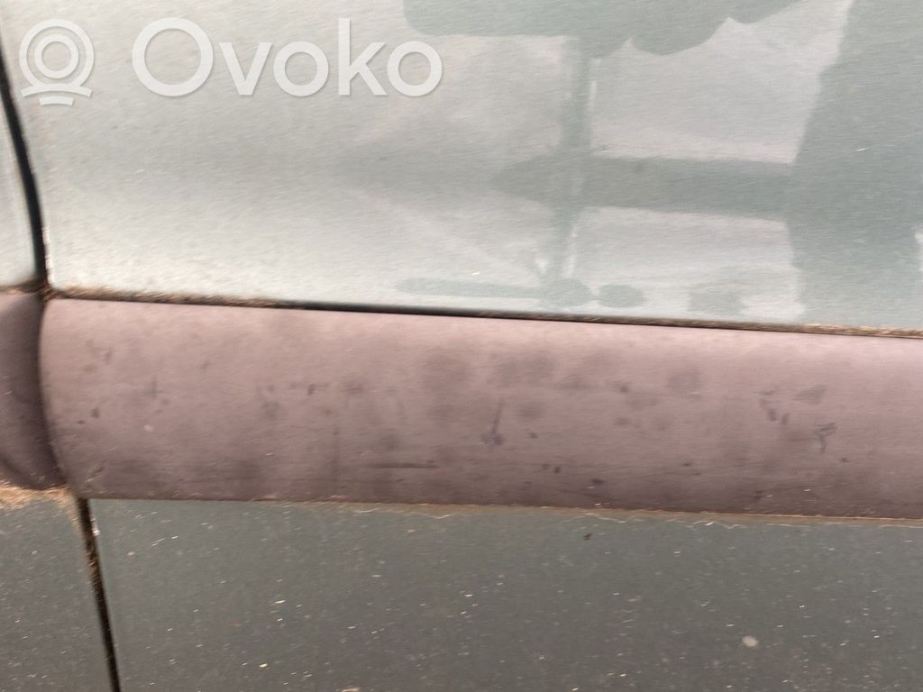 Peugeot 206 Listwa drzwi przednich 